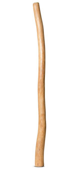 Medium Size Natural Finish Didgeridoo (TW1334)